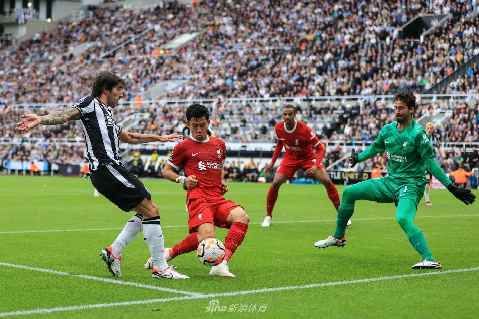 本届亚冬会 本届亚冬会